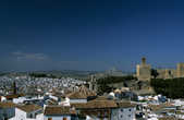 tkm003_196200