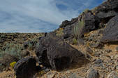 tkm003_551951