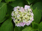 tkf002_104480