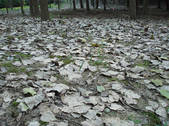 tkf002_105365
