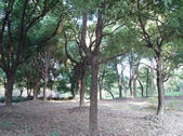 tkf002_105366