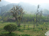 tkf002_105834