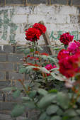 tkf002_108509