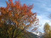 tkf002_109224