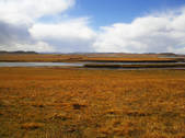 tkf002_109239