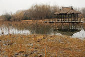tkf002_109395