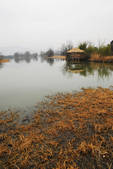 tkf002_109396