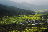 tkf002_109473