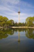 tkf005_2313590